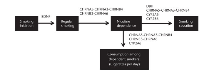 prevent lung cancer: understand genetics of nicotine dependence