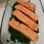 salmon-4230_640