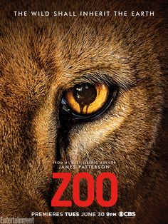 zoo-tv-series