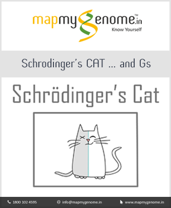 Schrodinger’s CAT … and Gs