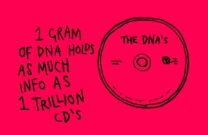 DNA-holds-a-trillion-CDs