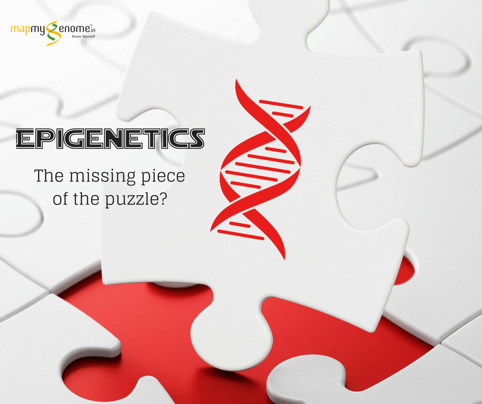 Epigenetics – What’s the hype about?