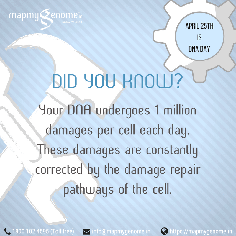 Did You Know_ DNA repair