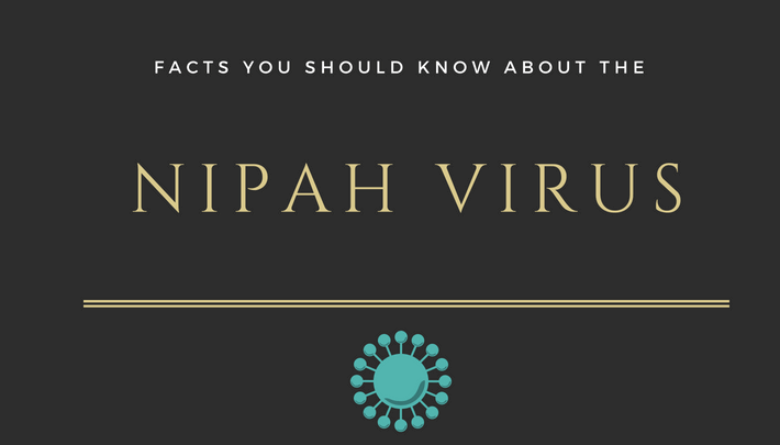 Facts about the Nipah Virus: Infographic