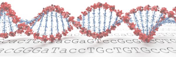 Whole-Genome-Sequencing-e1497518057807