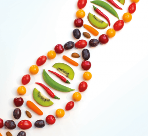NutrigenomicsDNA