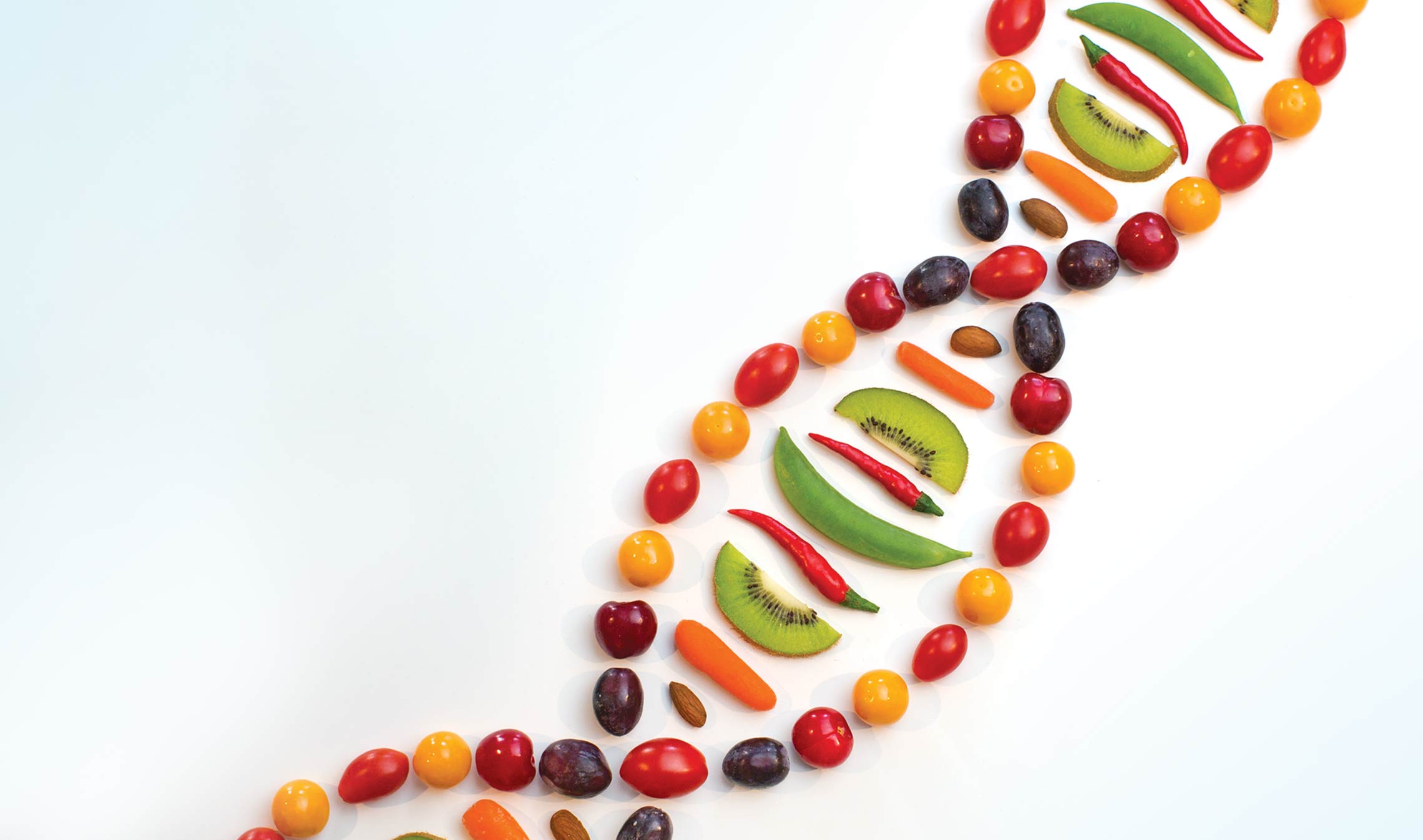 DNA Diet