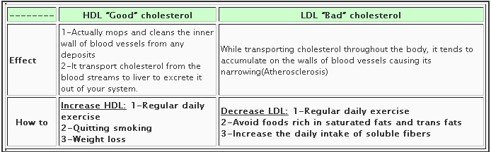 Good & Bad Cholesterol Sources Chart