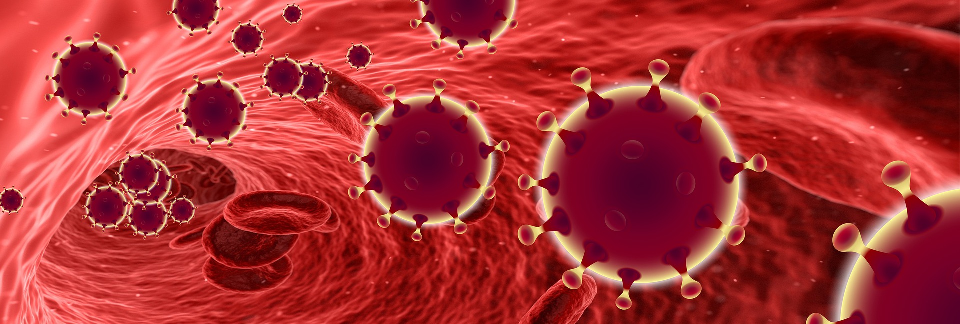 The Immune system warriors: GAMED antibodies
