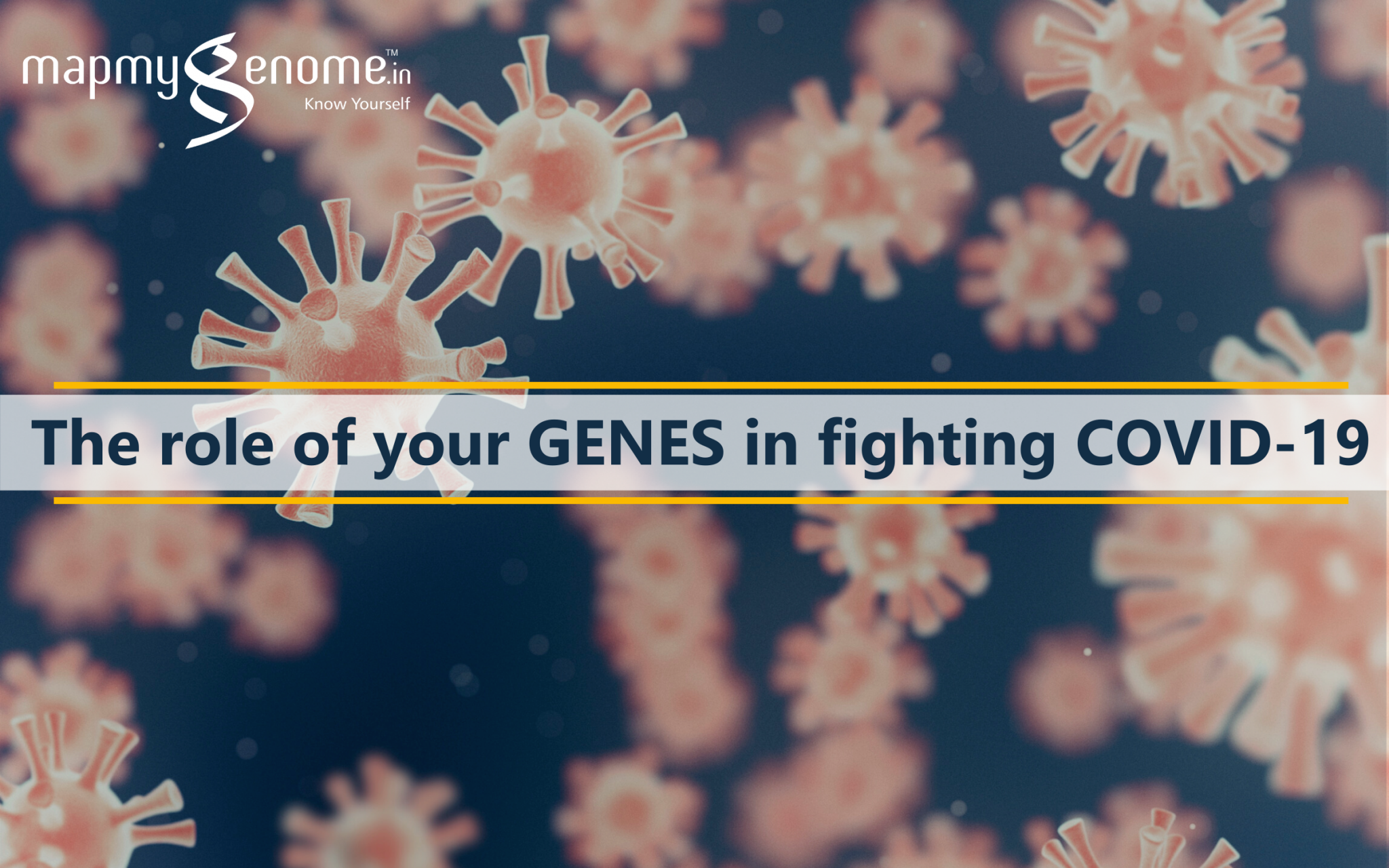 The role of your GENES in fighting COVID-19