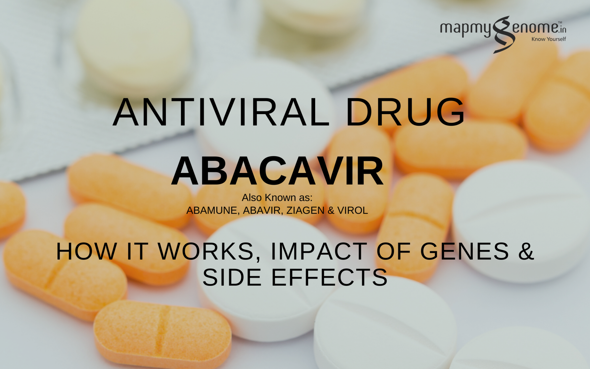 Antiviral drug – Abacavir :  How the drug works, Impact of genes & Possible side effects