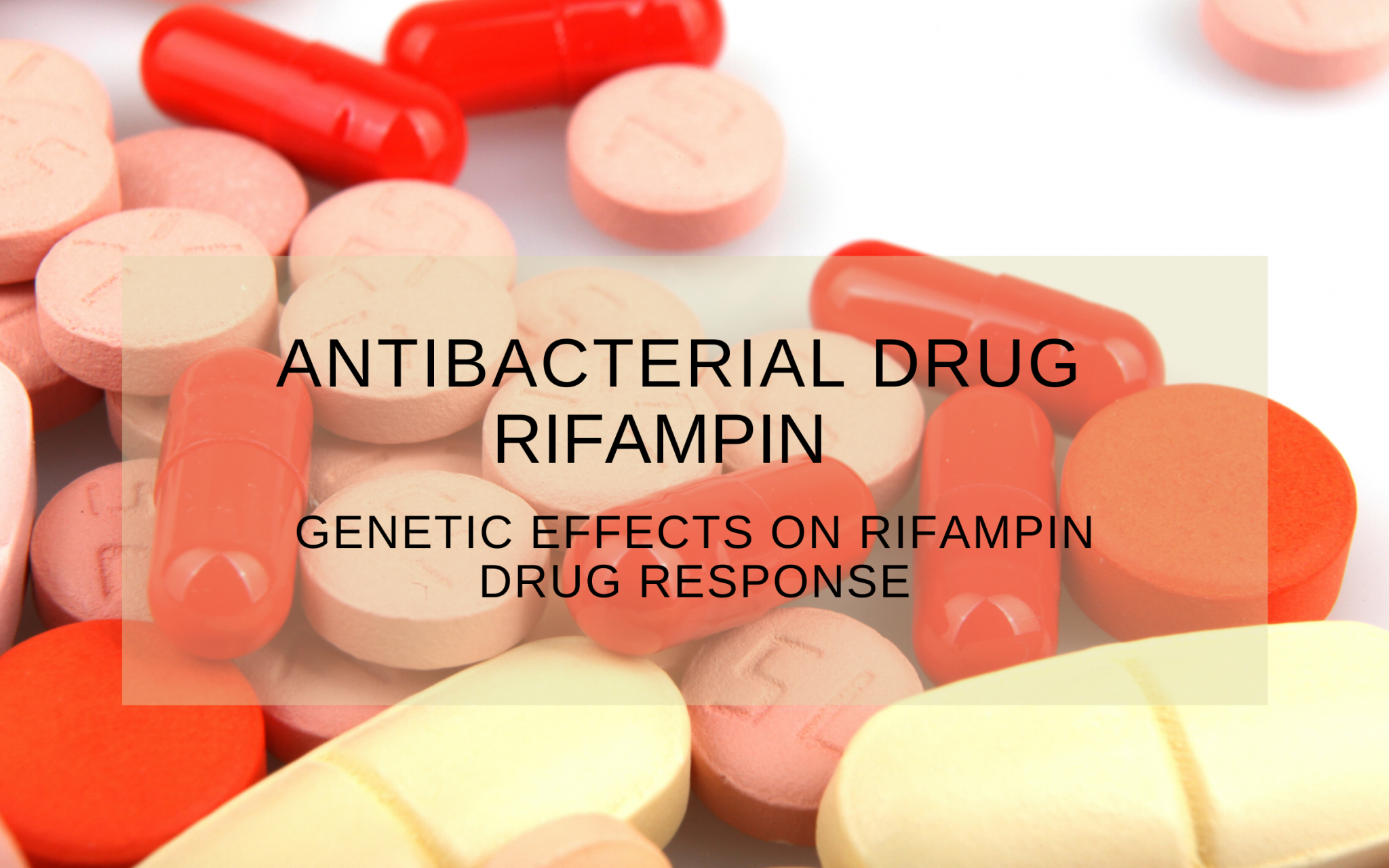 Genetic effects on Rifampin drug response