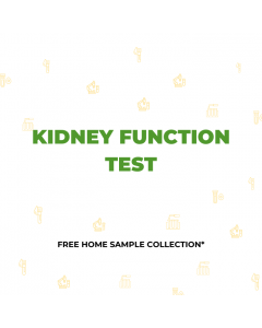 Renal function test/Kidney function test